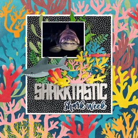 eekasharkTRACY.jpg
