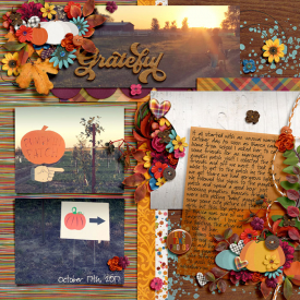 grateful2017_pumpkinPatch_Dalis_700.jpg
