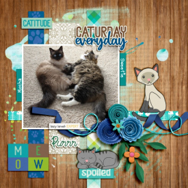 kelseyll_PurrfectKitty-700.jpg