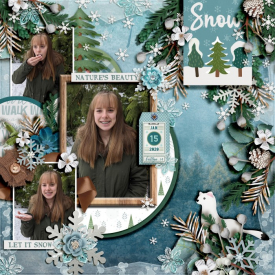 kelseyll_WinterWalk2-700.jpg