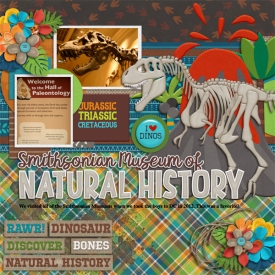 smithsoniannathistWEB.jpg