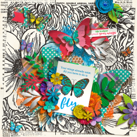 tnp-YOUGIVEMEBUTTERFLIES-pd4.jpg