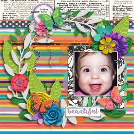 tracey1-butterfly-season-clever-monkey-graphics.jpg