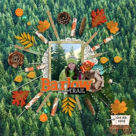 tracey2--fall-string-template1.jpg
