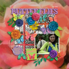 tracey2-butterfly-season-clever-monkey-graphics.jpg