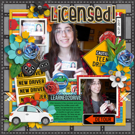tracey2-learn2drive.jpg