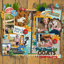 xboxmom-cschneider-single231-CMGonthefarm-700.jpg