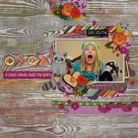 xboxmom-dt-secondChance5-RockyRaccoon2-700.jpg