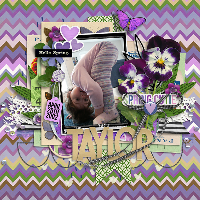 tracey--spring-pansy