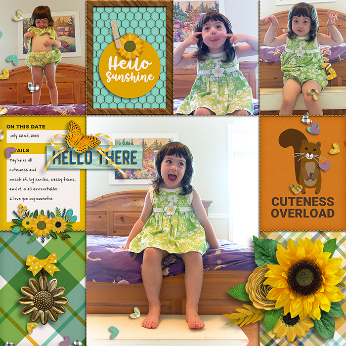 tracey-golden-sunflower