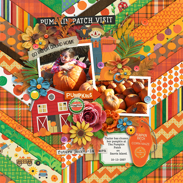 tracey1-pickofthepatch