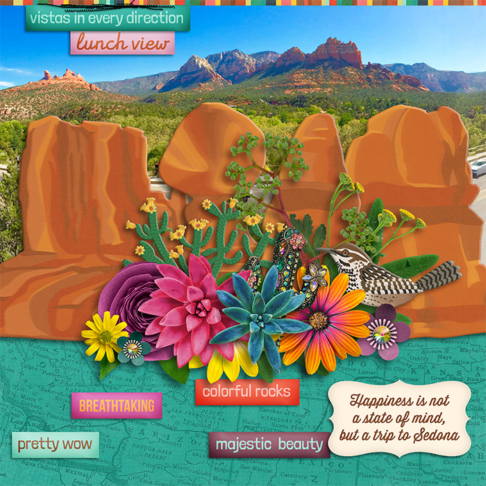 tracey2---cactii-and-red-rocks