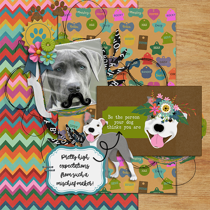 tracey3-adogslifetoo