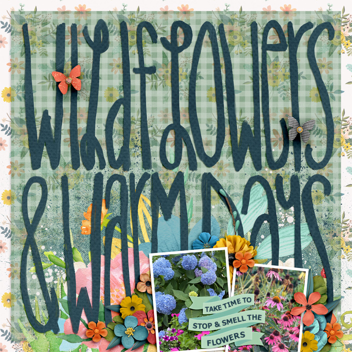 wildflowersWEB1