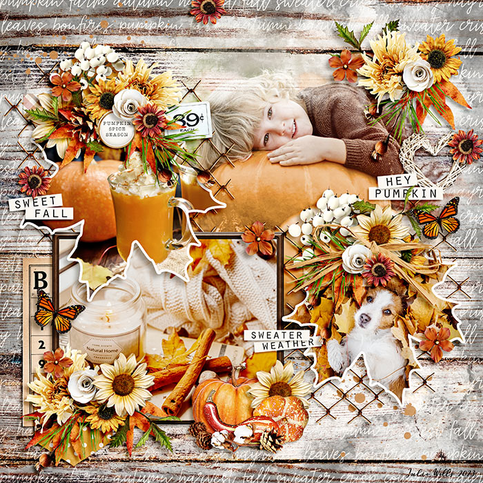 AWS_sweet-fall