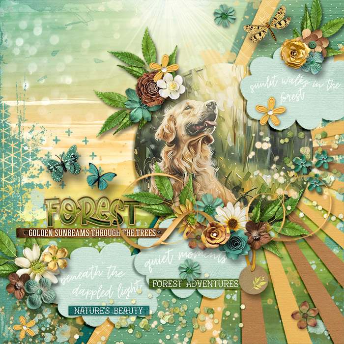 Forest700
