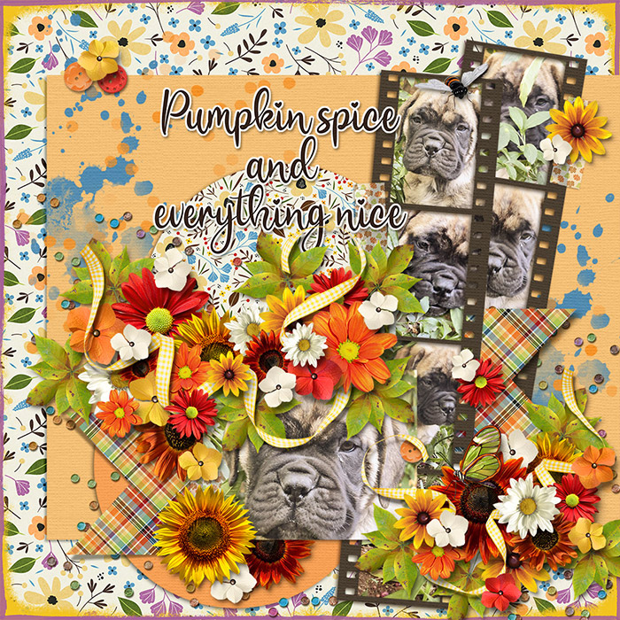 Pumpkin-Spice4