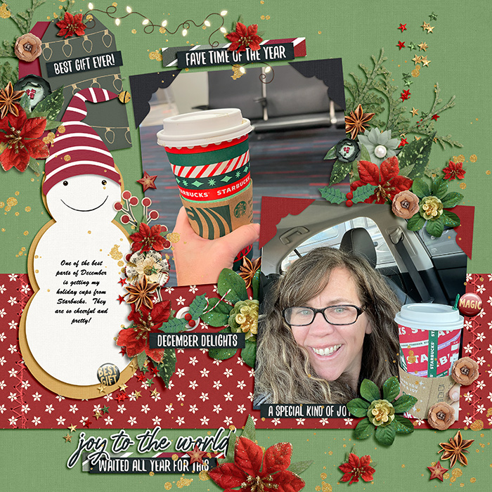 Robin_Frosty_Family-SSD