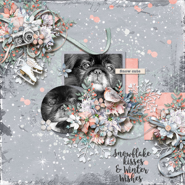 Snowflake-Kisses