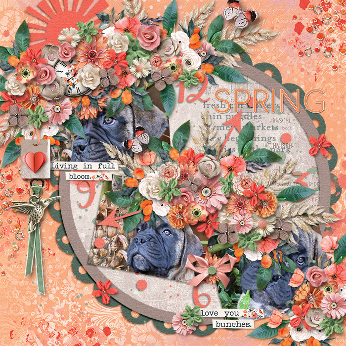 Spring7005