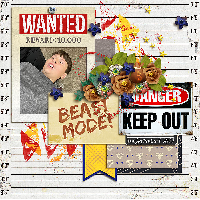 WP_wanted_CT7