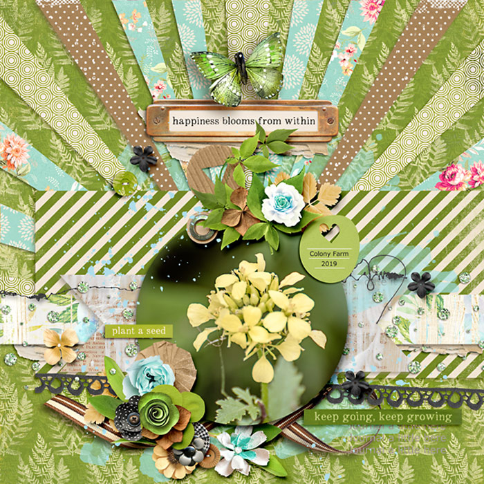 happinessblooms-copy