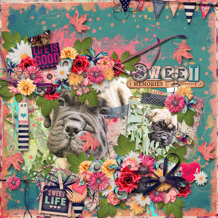 spd-asweetlife-JenniR