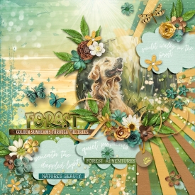 Forest700.jpg