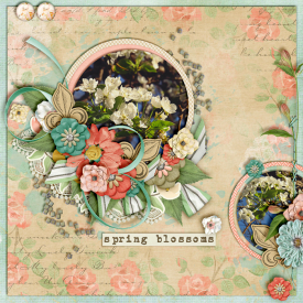 Fresh-blooms-700-381.jpg