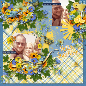 Hello-Sunshine7001.jpg