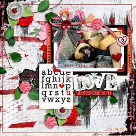 alchemywildstudio-v1twosidesseasons-Tammy.jpg