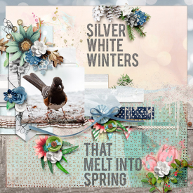 silverwhitewinters-copy.jpg