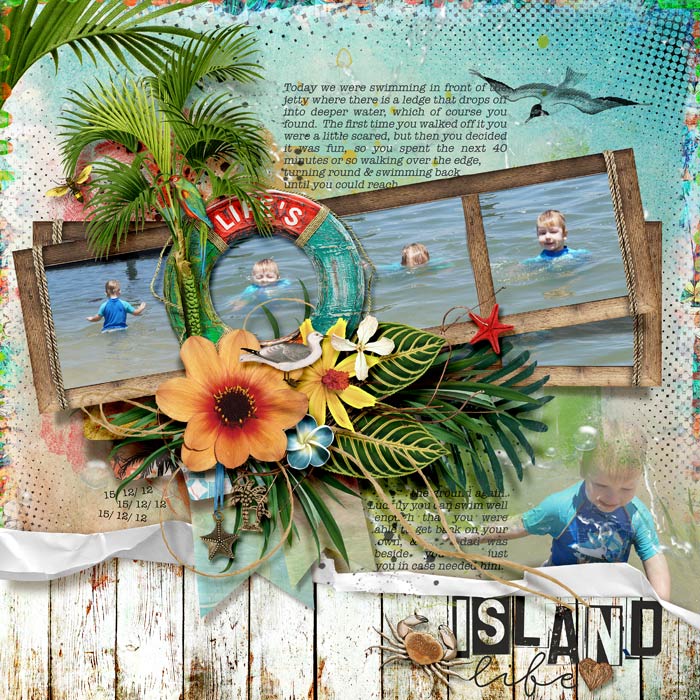 2012_12_15_Island-Life