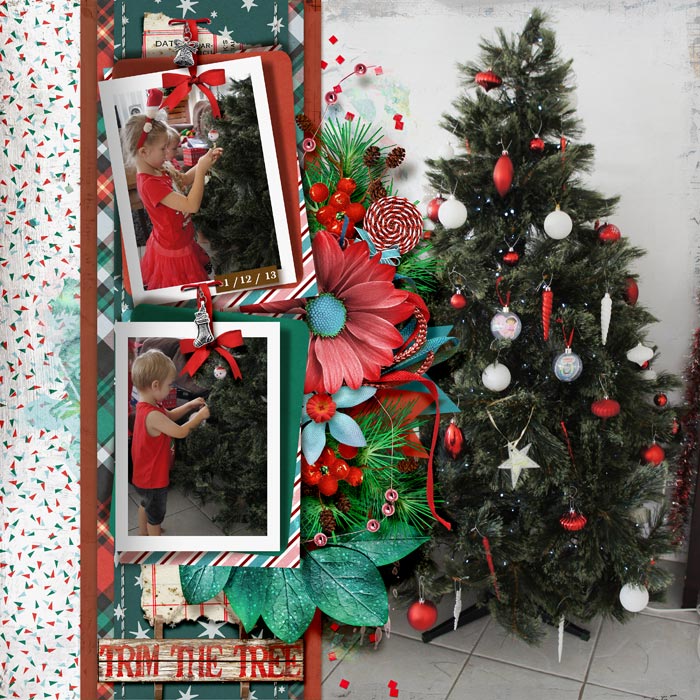 2013_12_01_Trim-The-Tree