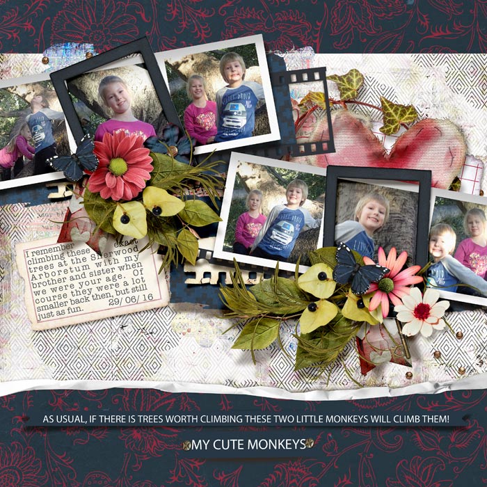 2016_06_29_My-Cute-Monkeys