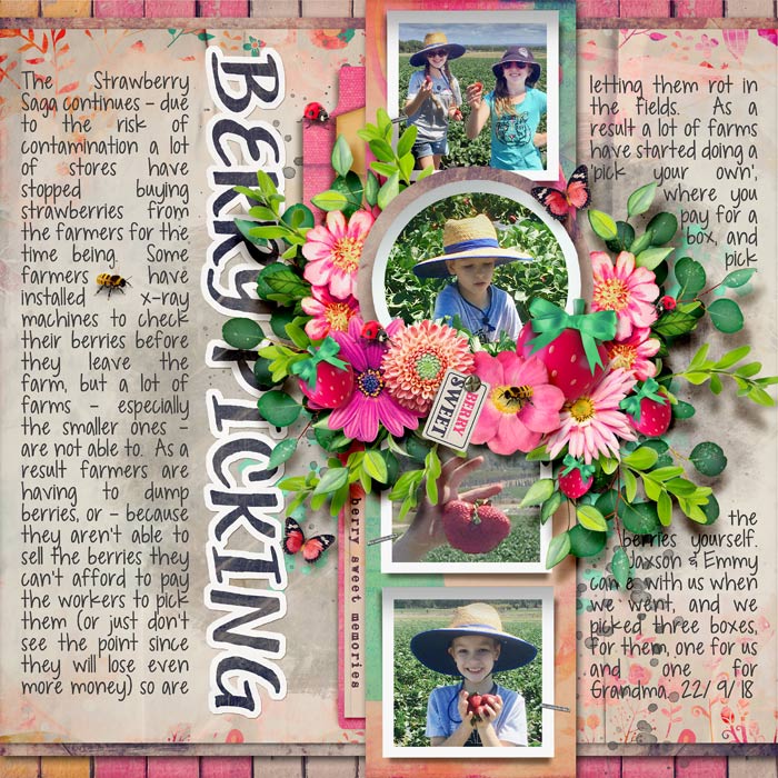 2018_09_22_Berry-Picking