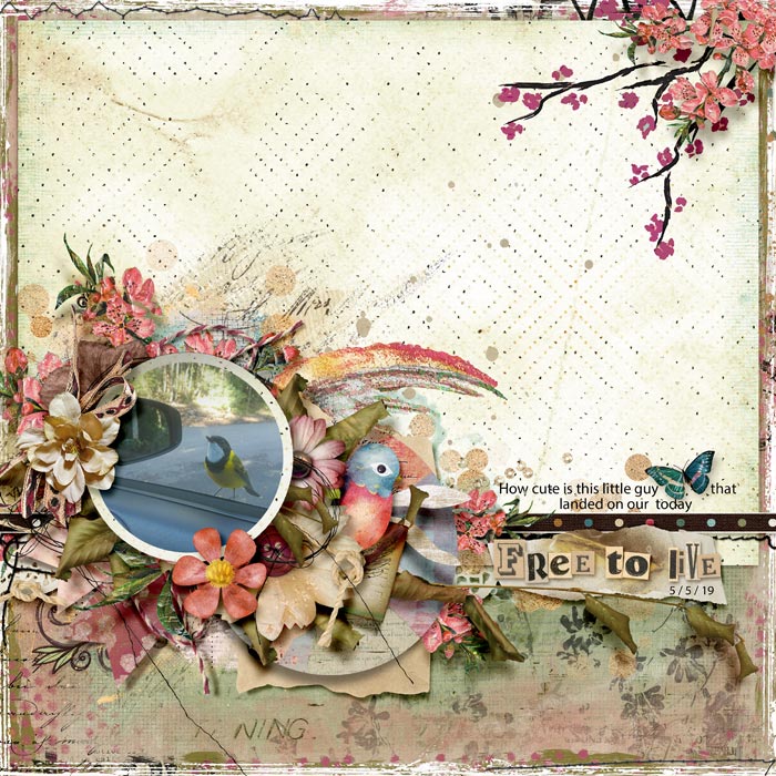 2019_05_05_Free-To-Live