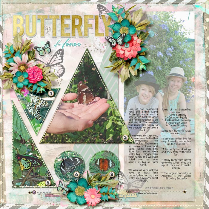 2020_02_02_Butterfly-House
