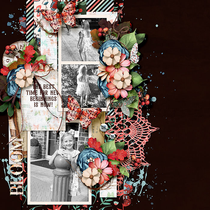 Aprilisa_PP277_jcd_tnp_embracethechange_robin_700
