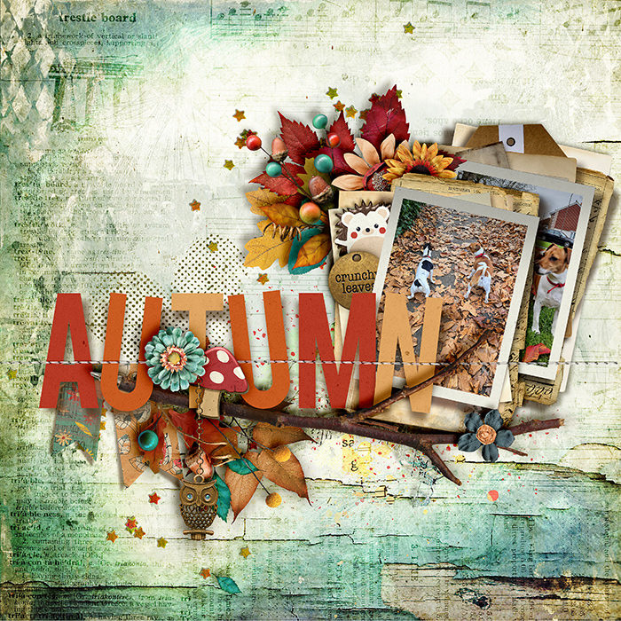 Autumn-leaves-700-481