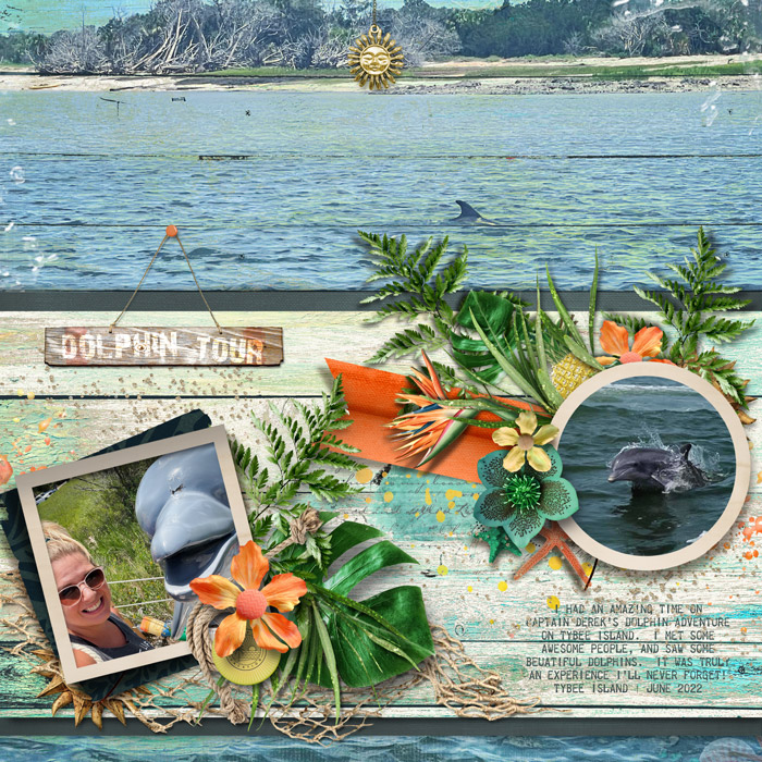 DolphinTour_June2022_700