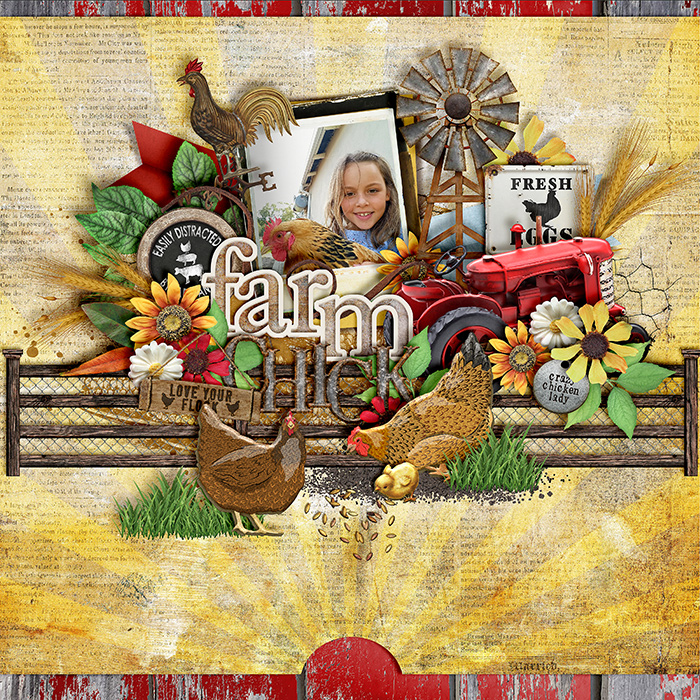 Farm-Chick-700-497