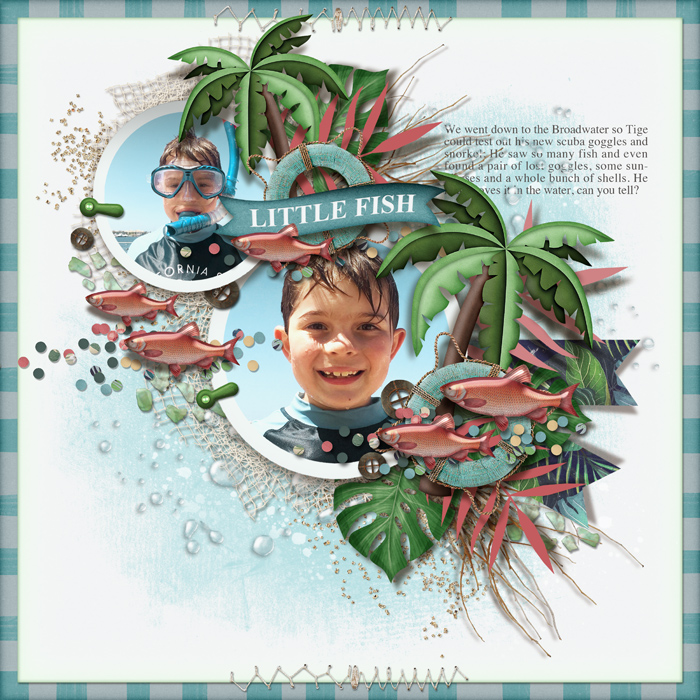 LittleFish2