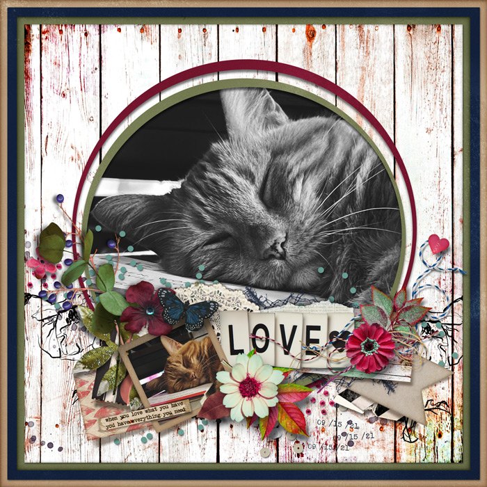 Roxie_Sept2021_700
