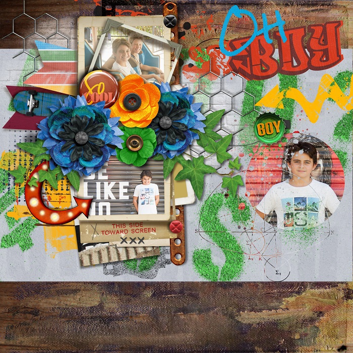 TNP-ANTK-PHOTOV2_TL2