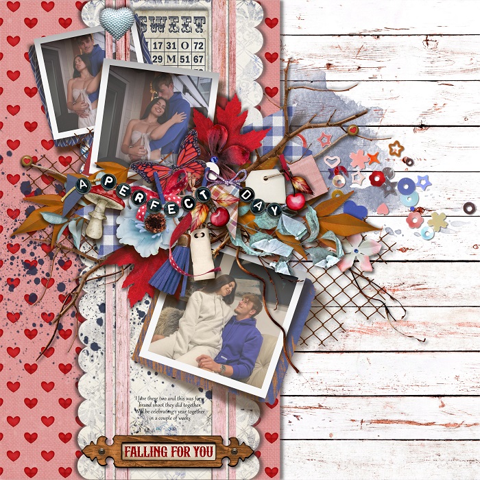 TNP-ASweetDay-Trish-LO1