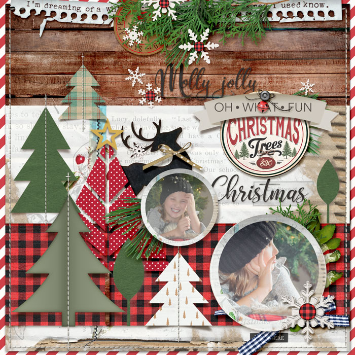 TNP-Oh-ChristmasTree4-RLP-01-700