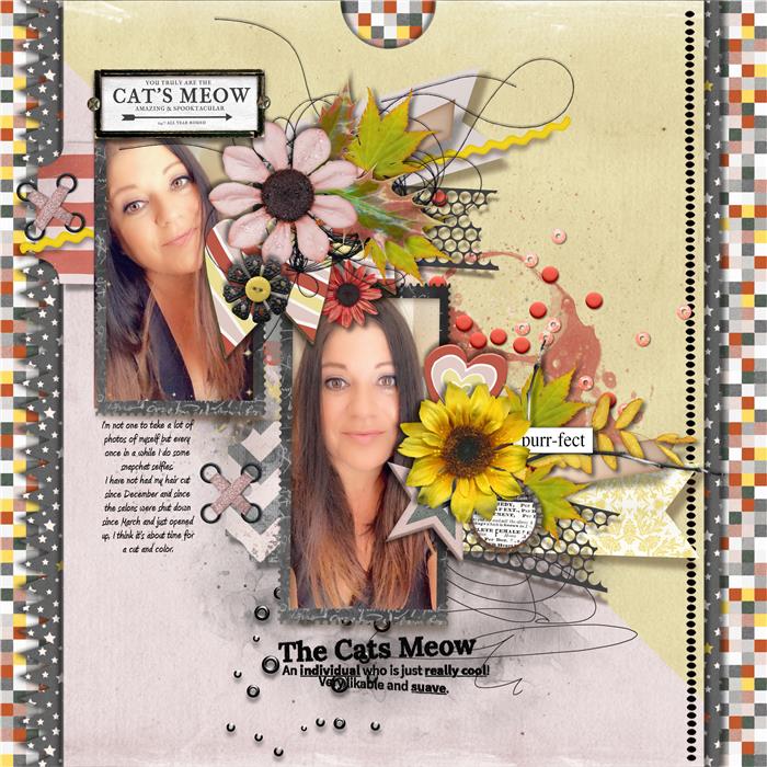 TNP_DS_TL2_Custom_