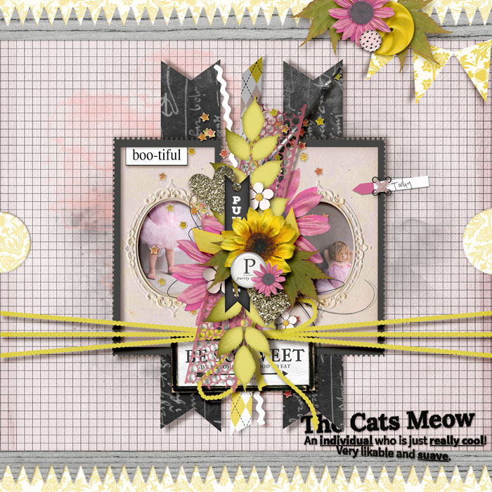 TNP_Doubleshot_1_PD2_RLP_01