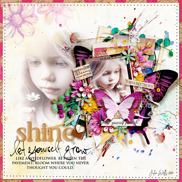 TNP_SD_shine_4May